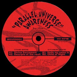 Parallel Universe Awareness