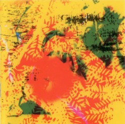 A Young Person’s Guide to Phill Niblock