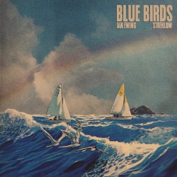 Blue Birds