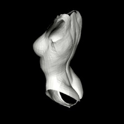 Scenes With Curved Objects