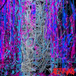 Rewire