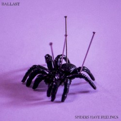 Spiders Have Feelings