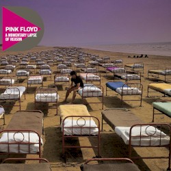 A Momentary Lapse of Reason