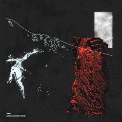 Unseen, Uncertain, Whole