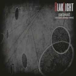 Paranoid (Rob Dust's Strange Remix)