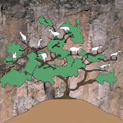 Mind Gone, Vol. 2: Gone, Never Forgotten