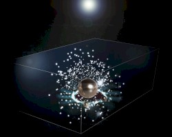 Pearls in a Velvet Box