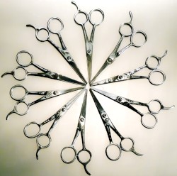 Services Rendered Soundtrack