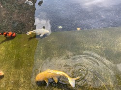 0285