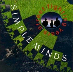 Street Fighting Years