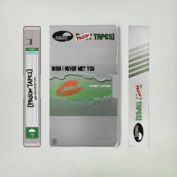 Wish I Never Met You (Prison Tapes)