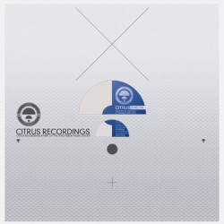 Zebras Crossing Road / Night Life