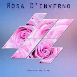 Rosa D’inverno