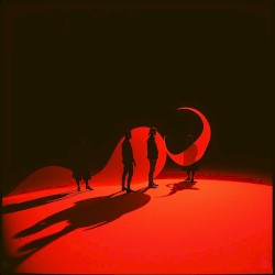 Shadows of the Night