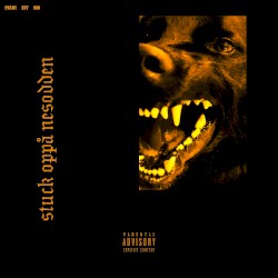 STUCK OPPÅ NESODDEN