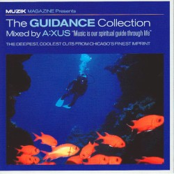Muzik: The Guidance Collection