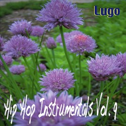 Hip Hop Instrumentals Vol. 9