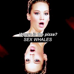 Where Is the Pizza