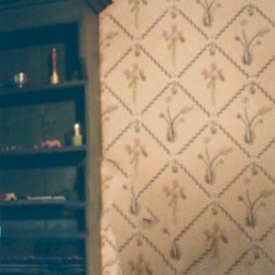 willow (lonely witch version)