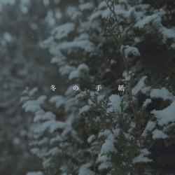 冬の手紙
