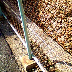 明日世界が終わるらしい 2025