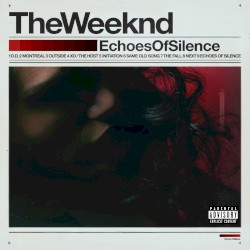 Echoes of Silence