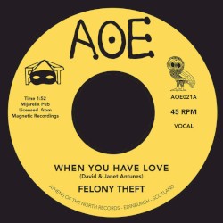 When You Have Love / Run For Cover