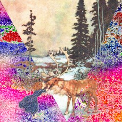 後をつけて殺してほしいの