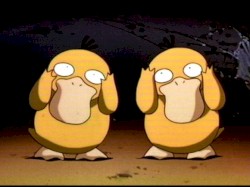 Psyduck