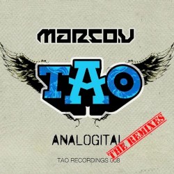 Analogital (the remixes)