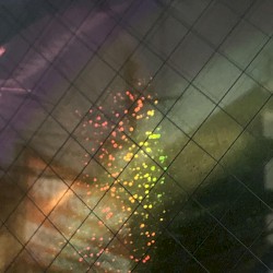 Haruyoshi (Spring Good Luck)