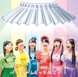 シャンプーハット