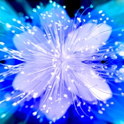 Absolute Heaven [ Primordial NULL-SONIC ] series 1