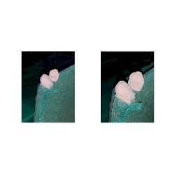 a very busy social life