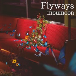 Flyways