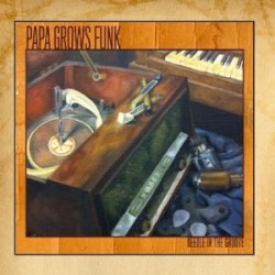 Needle in the Groove