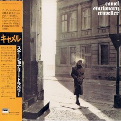 Stationary Traveller