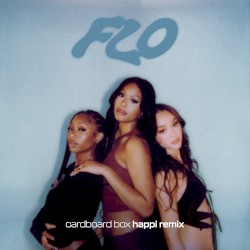 Cardboard Box (Happi remix)