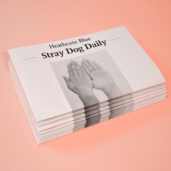 Stray Dog Daily