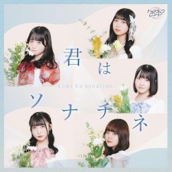 君はソナチネ