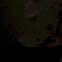 Voices From the Darkness Past Midnight