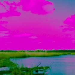 The Caustic Wymondham EP