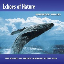 Echoes of Nature: Humpback Whales