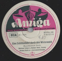 Eine Schlittenfahrt durch den Winterwald