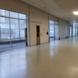 download this and open it in a daw THE SQUEAKQUEL