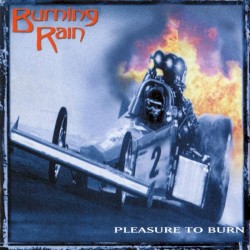 Pleasure to Burn