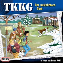 TKKG 185: Der unsichtbare Dieb
