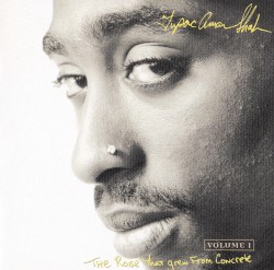 The Rose That Grew From Concrete, Volume 1