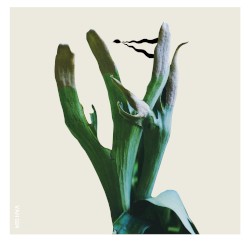 Bi-Monthly Subscription Series 01