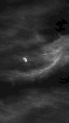 The Isolation Concerts, Volume 13